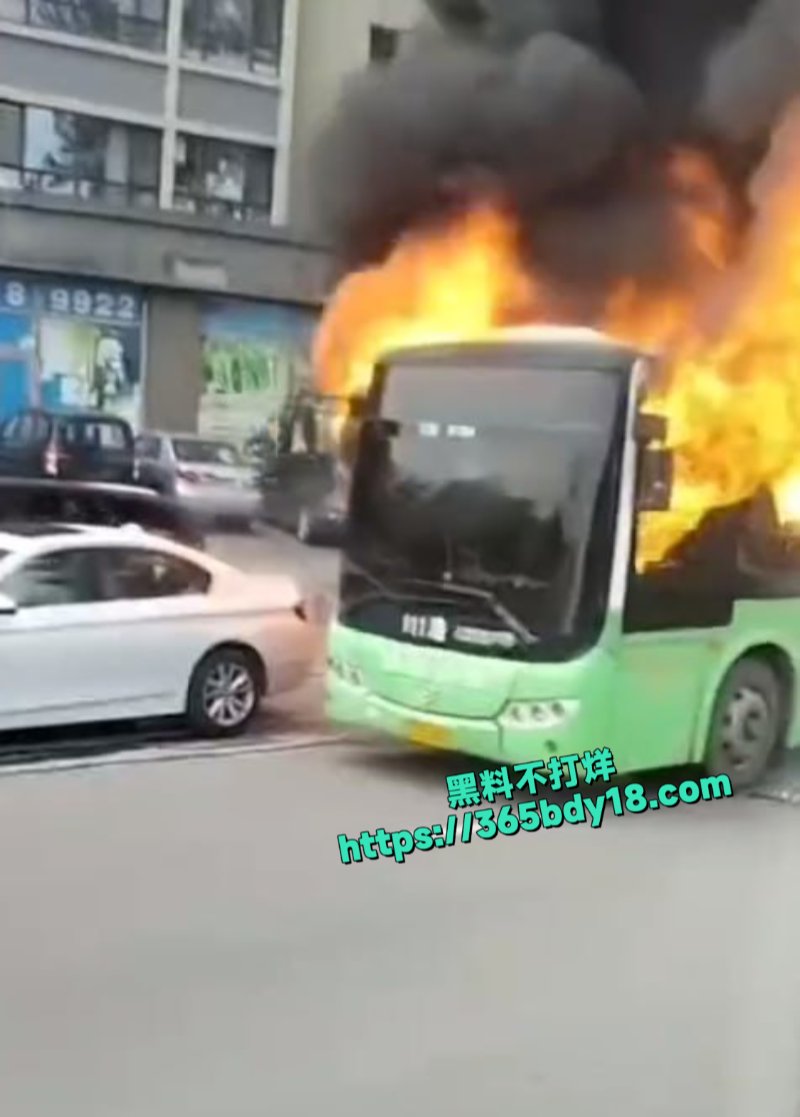 辽宁省丹东市公交车起火2
