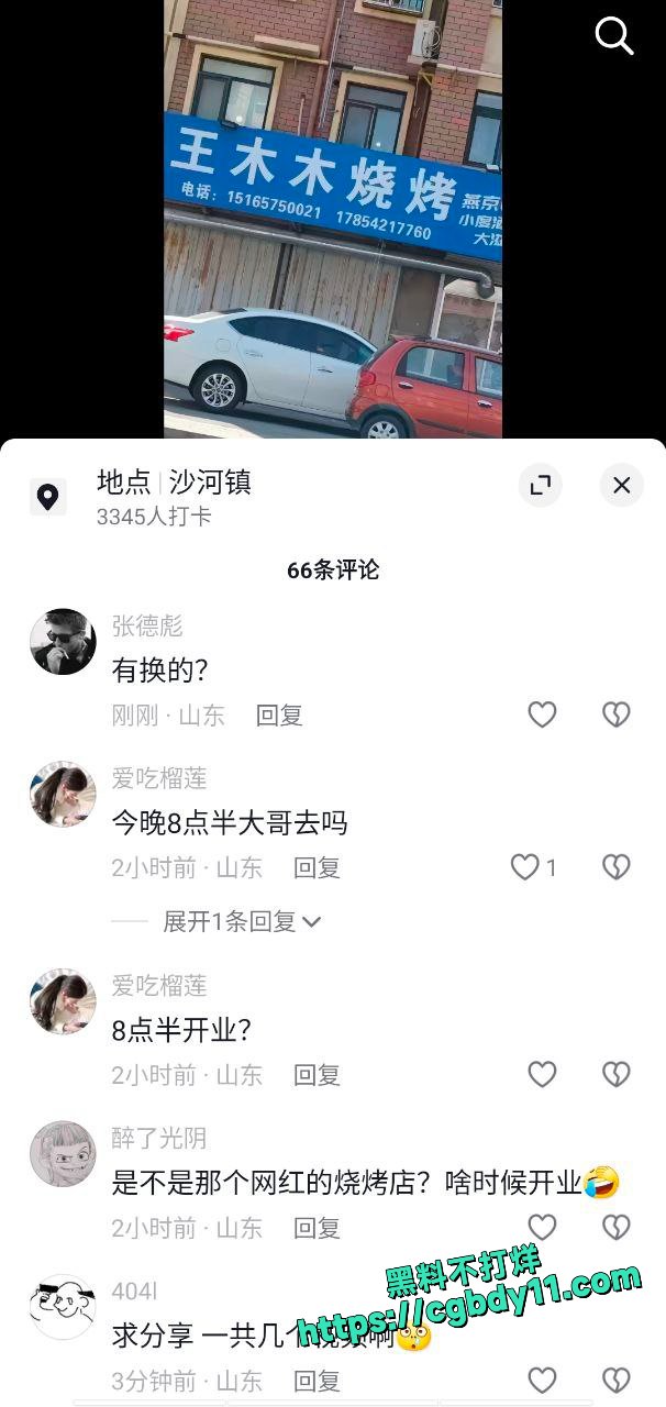 莱州沙河王木木烧烤店老板娘
