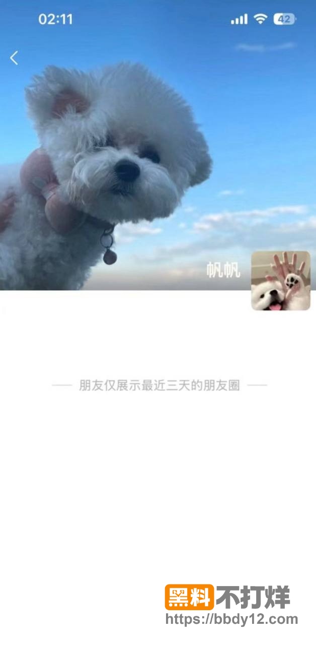 聊天记录13