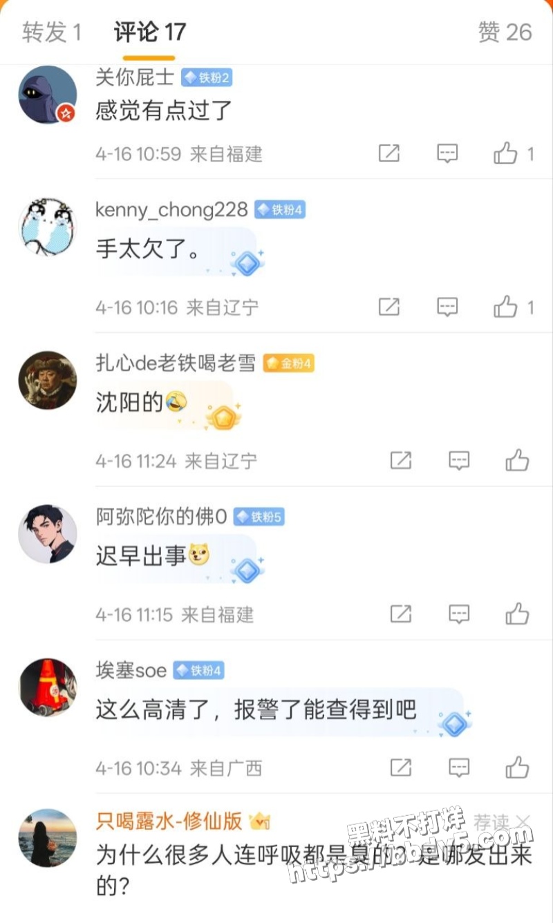 云南西双版纳景洪市的泼水节22
