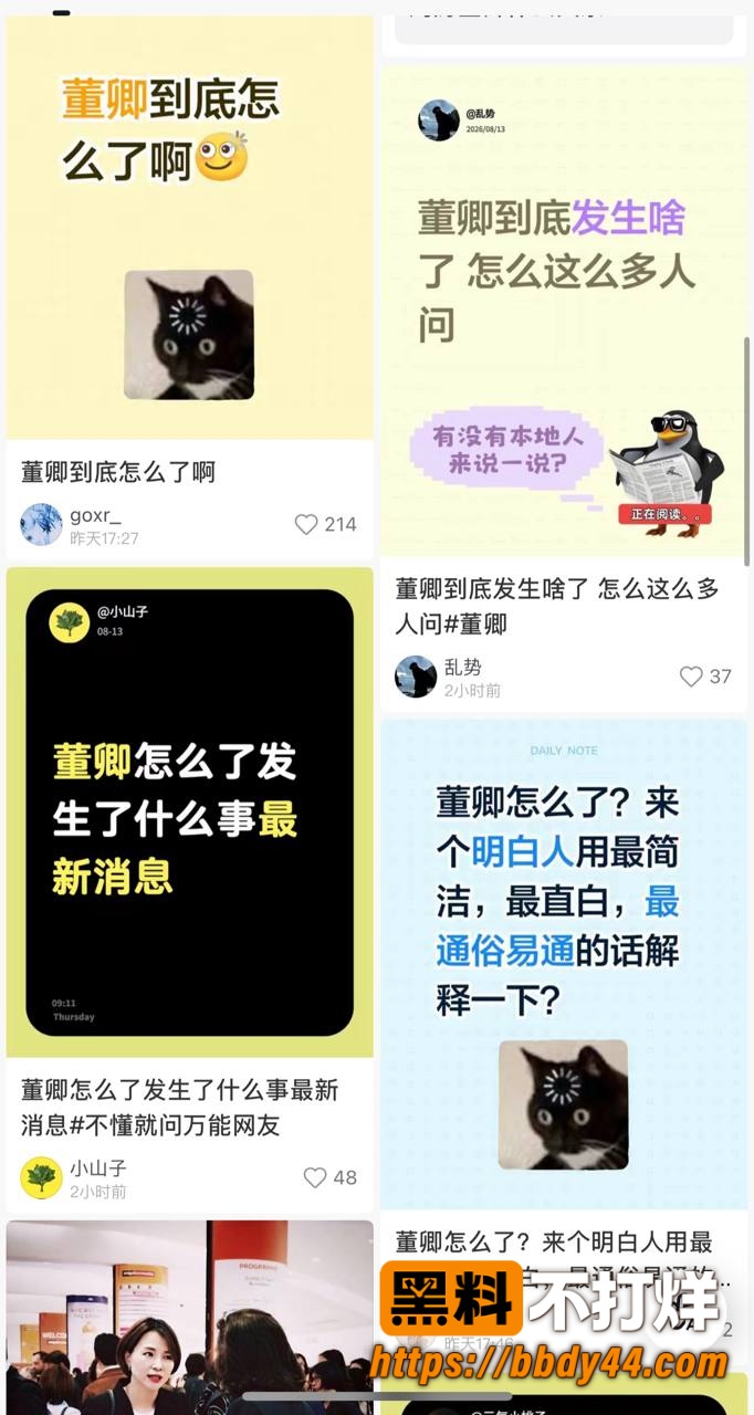 董卿6