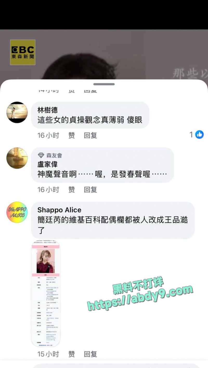 台娱女星简廷芮出轨王品澔席卷网络 8