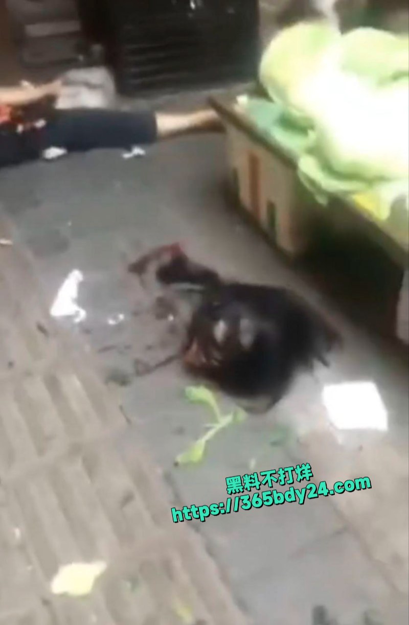 重庆女子因爱生恨错砍男人侄女 5