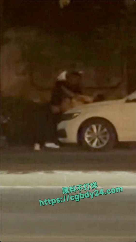华府山水路边俩人在引擎盖上直接脱裤子开干1