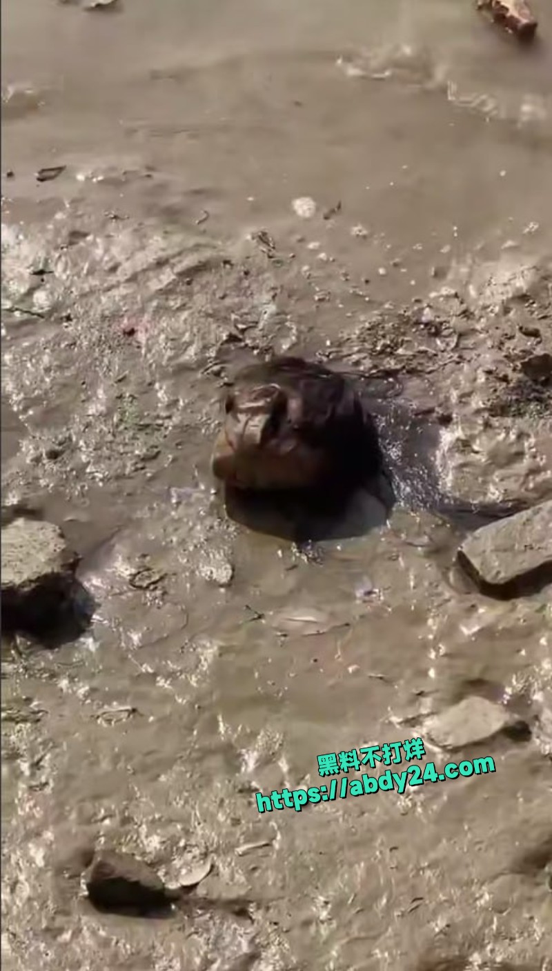 钓鱼佬钓到一人体头颅3