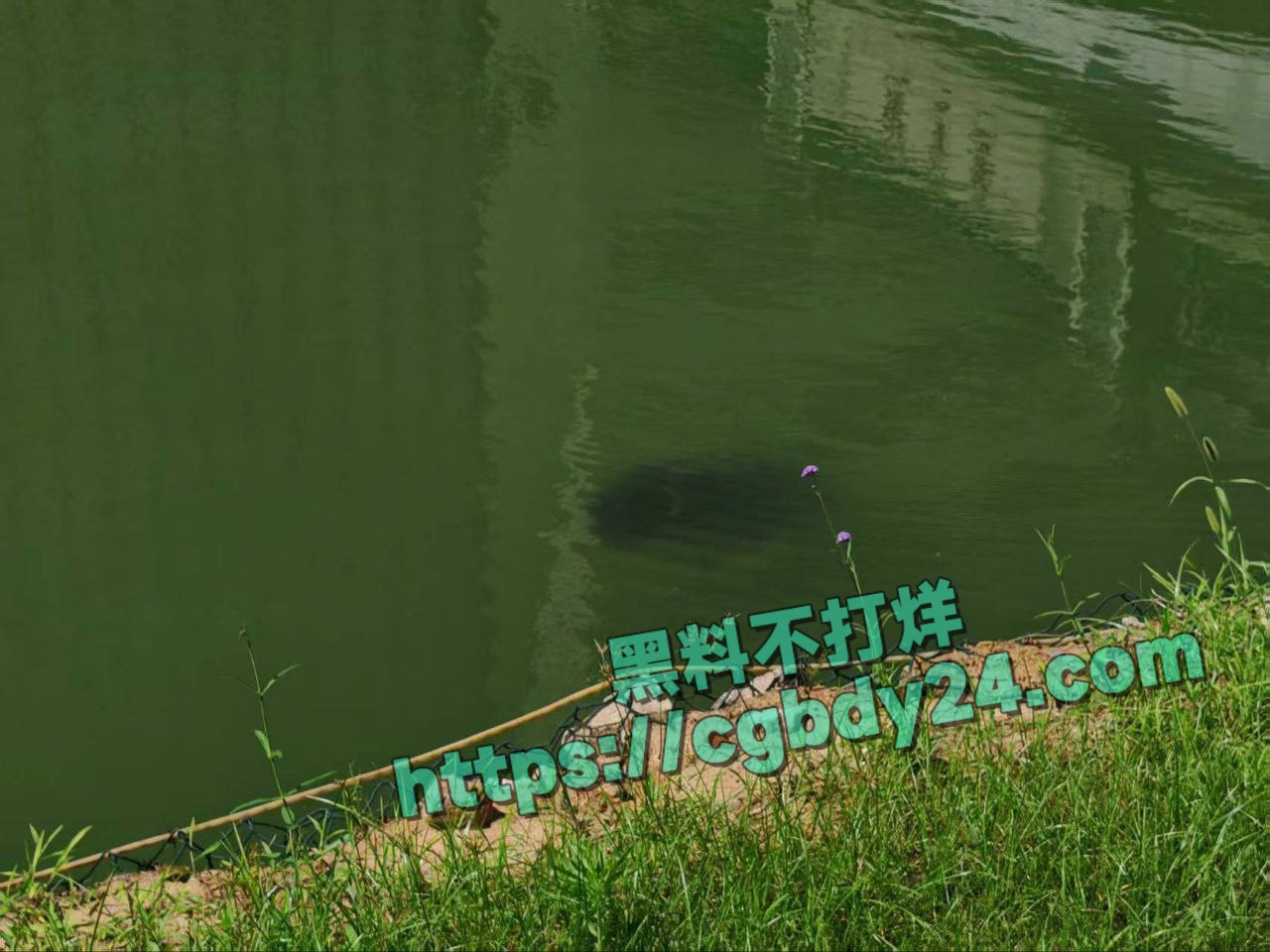 湖北武汉中国地质大学未来城校区在湖中捞出一具学生尸体9