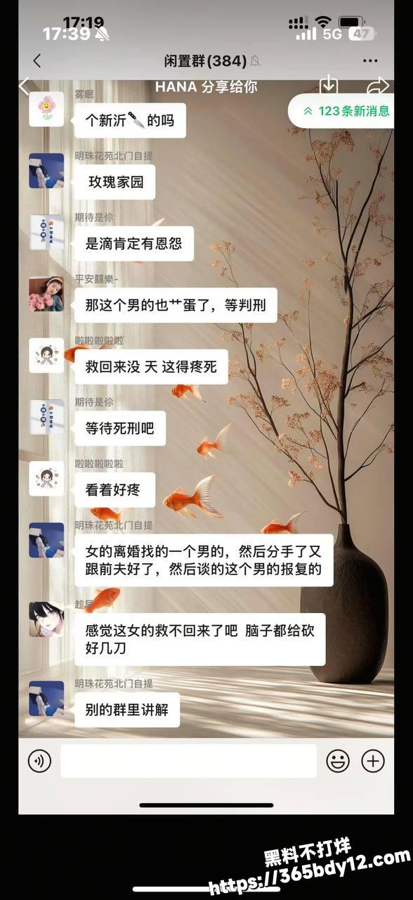 玫瑰家园1