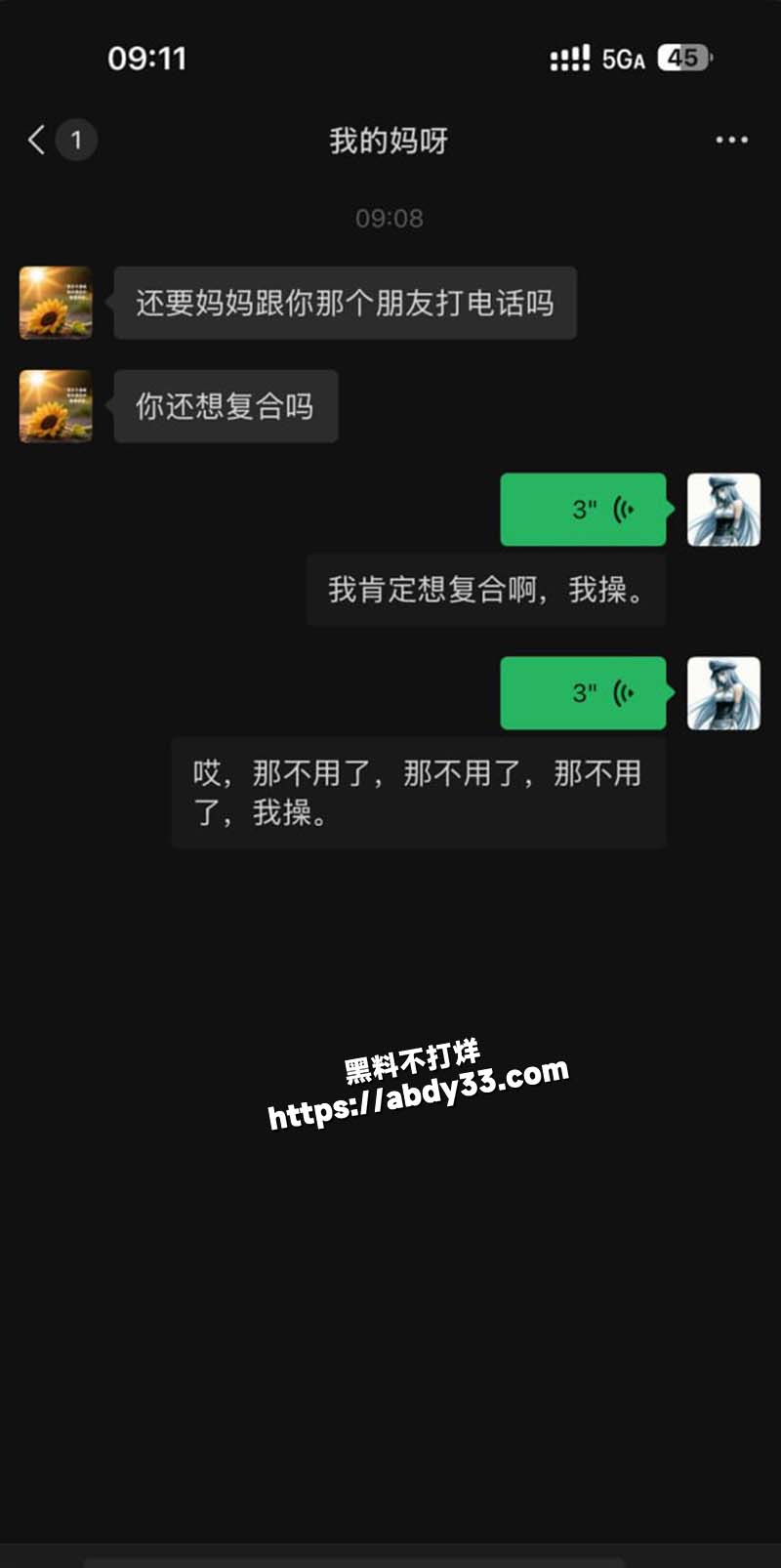 聊天记录8