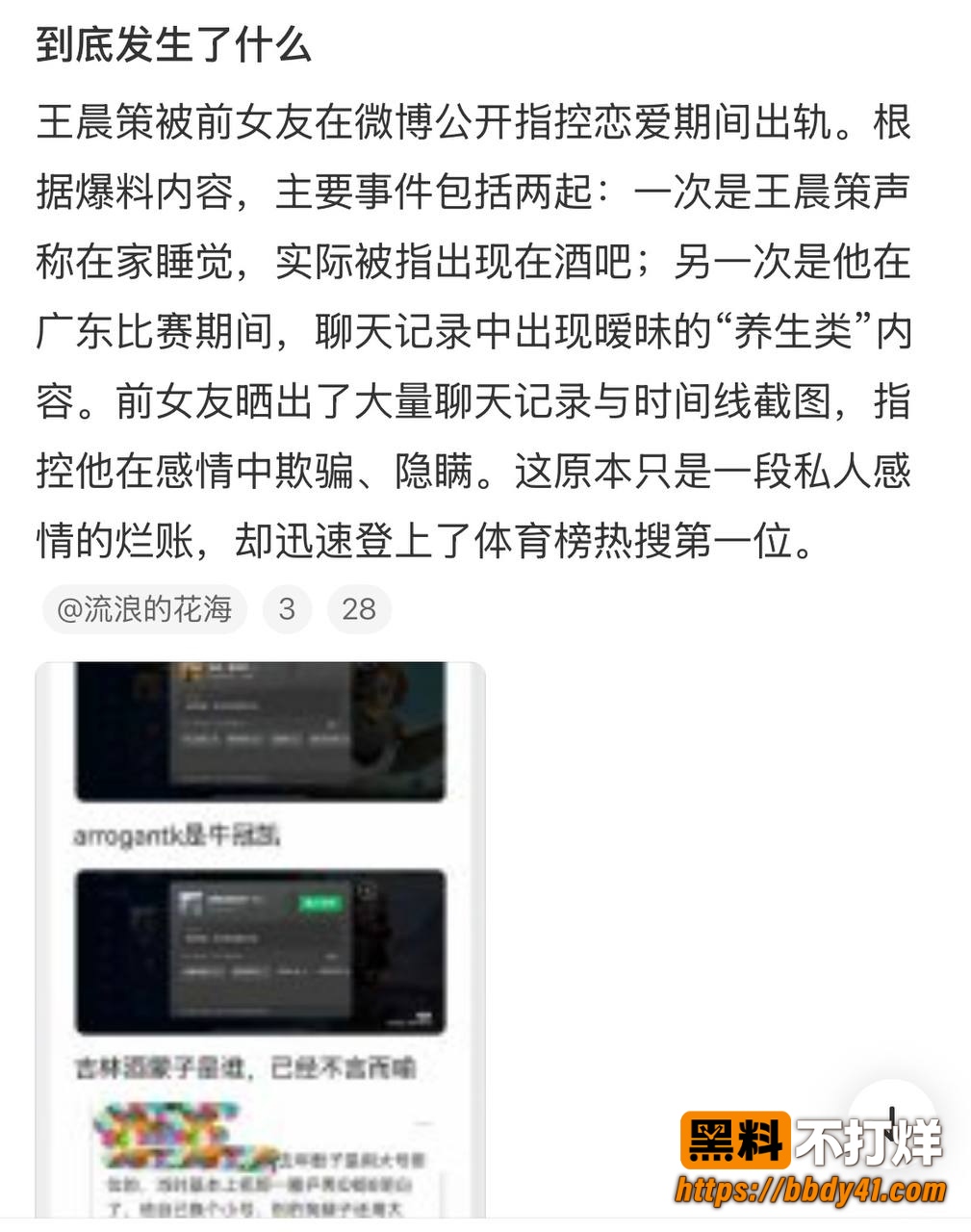 王晨策3