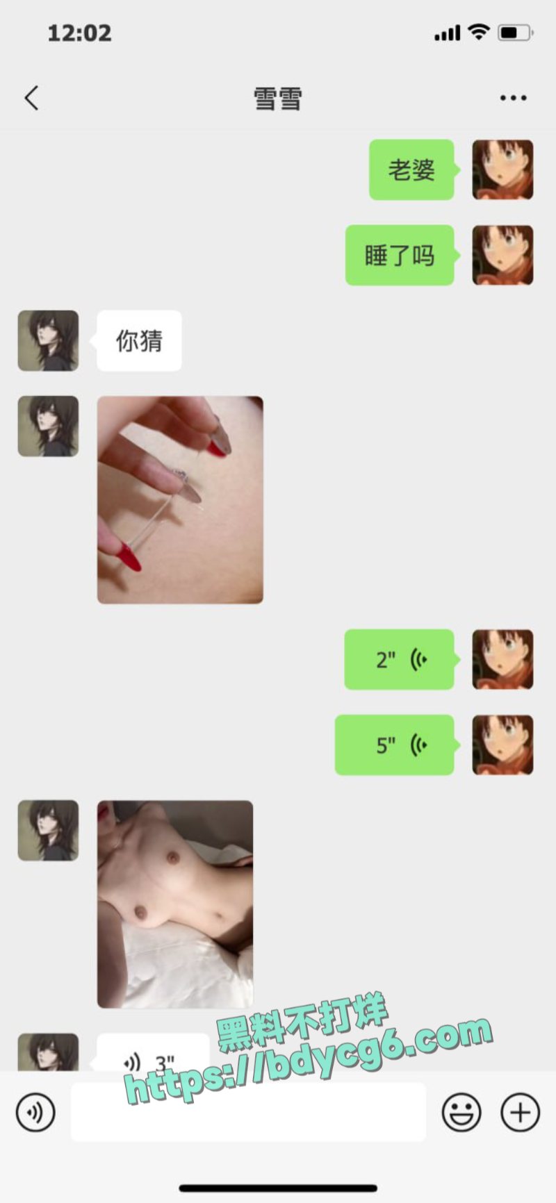 白盼雪不雅聊天记录1