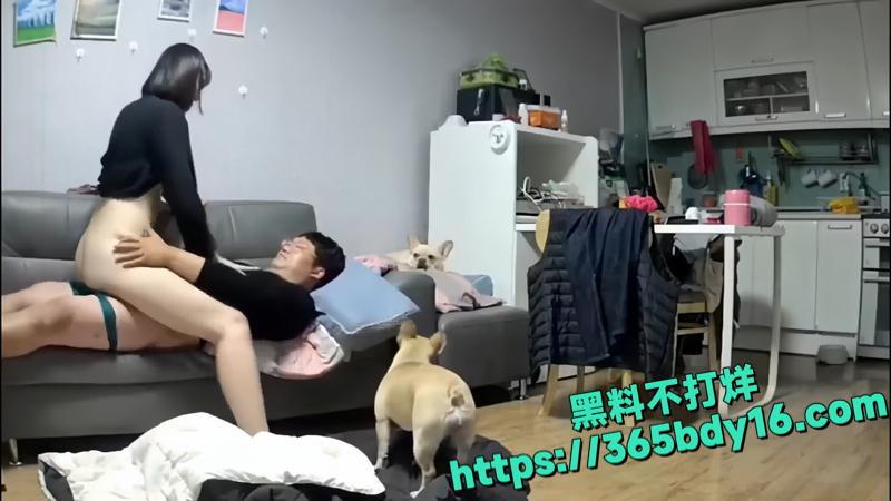 黑客破解家庭偷窥1