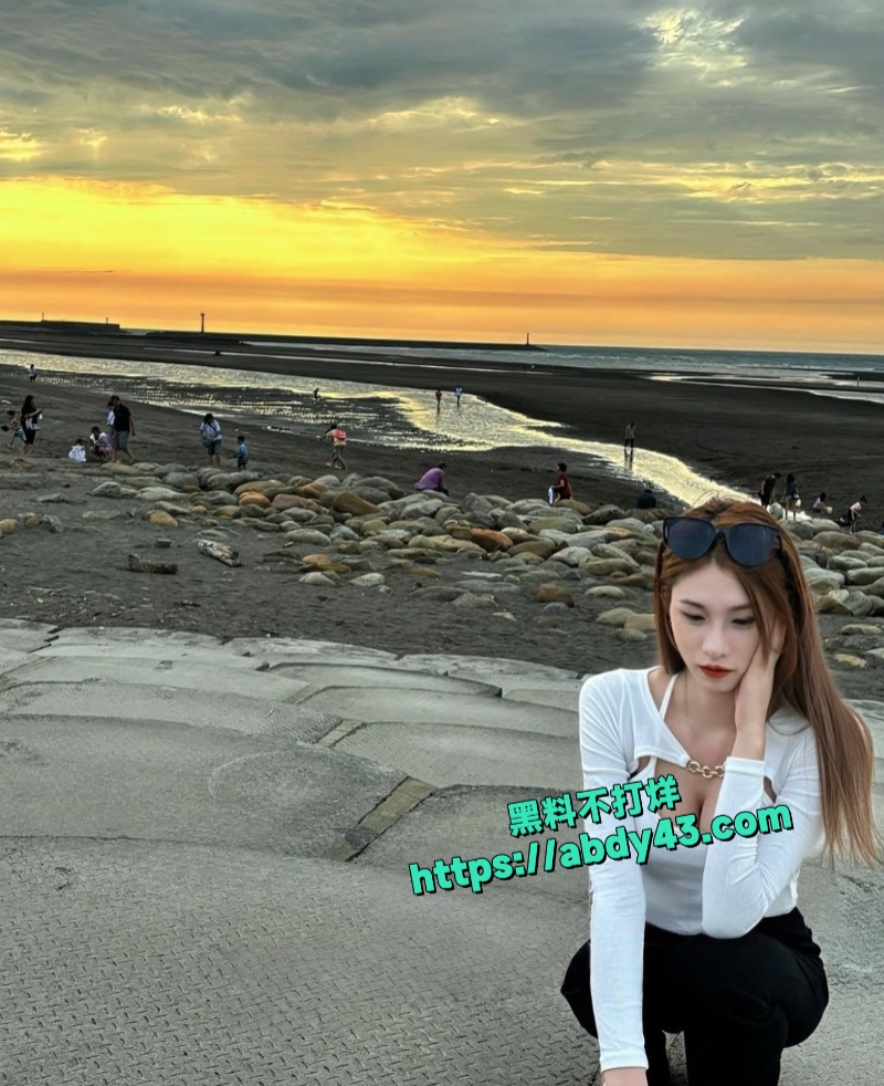 新加坡小网美 2