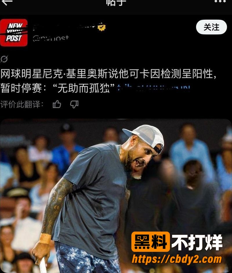 克耶戈斯12