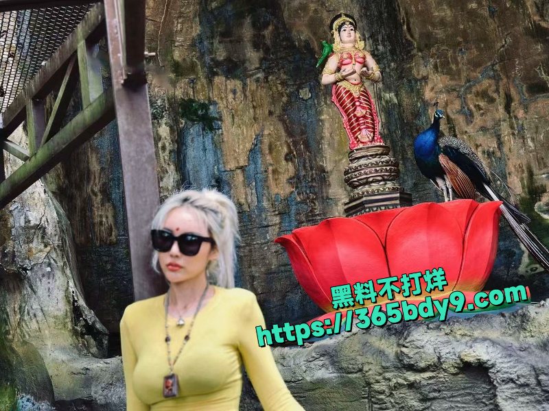 抖音26万粉网红梦楠一对一裸聊私拍11
