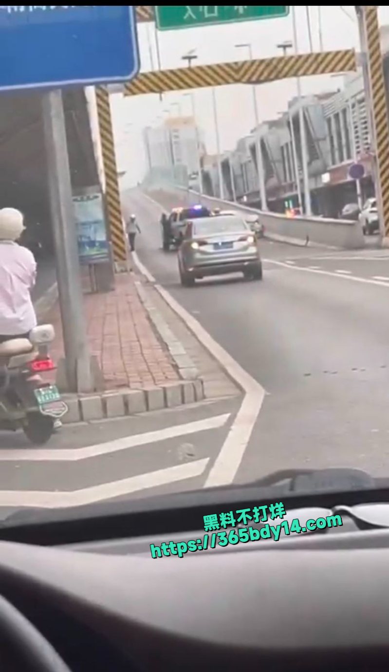 石家庄和平路高架一男子抢夺警车报复社会被抓7
