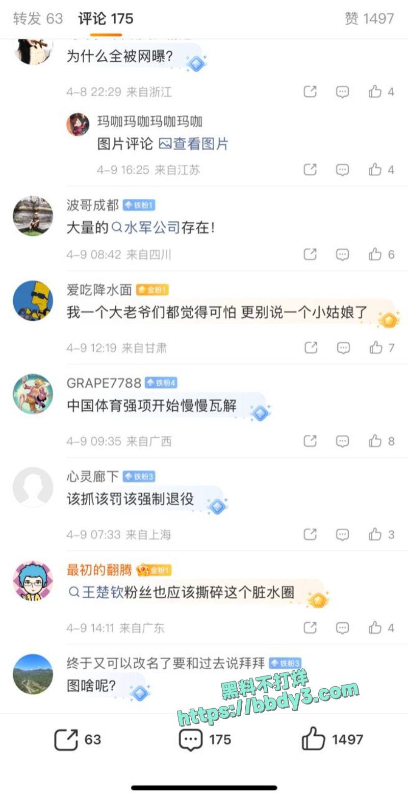 跳水冠军全红婵遭网暴 20