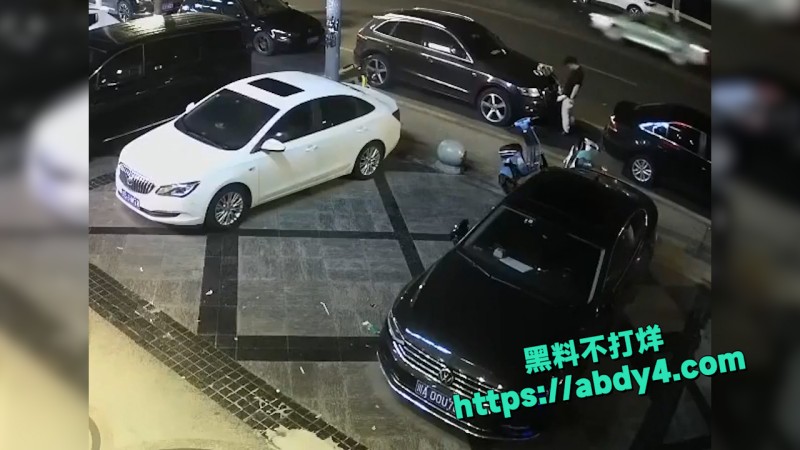 野鸳鸯精虫上脑 路边车旁激情啪啪  3