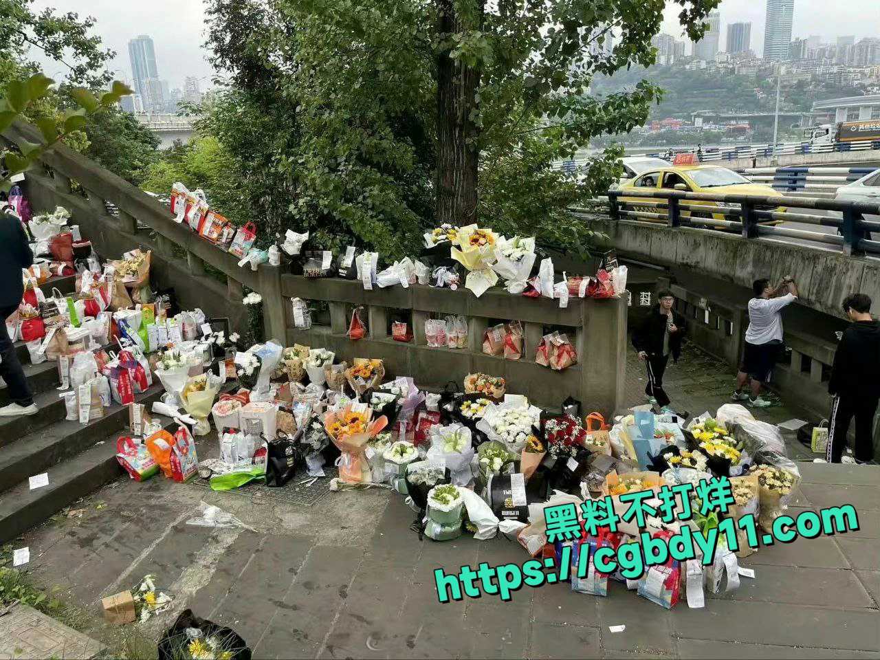 胖猫谭竹事件 (4).jpg