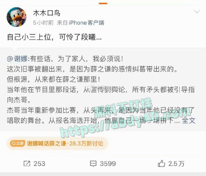 张杰出轨谢娜小三上位17