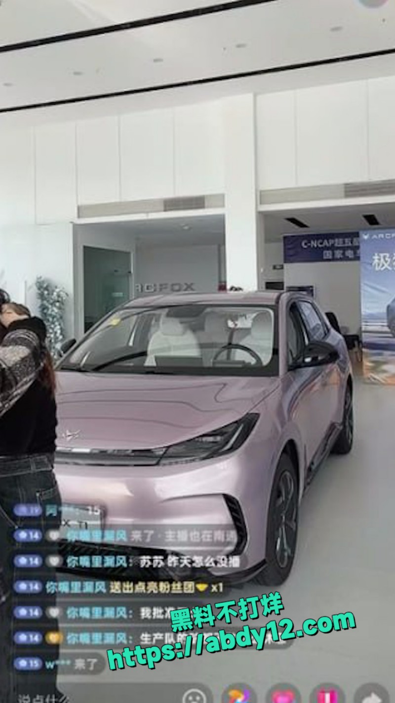 南通极狐4S店女销售 6