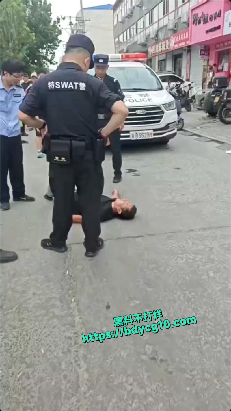 本来只是打架斗殴然后变成骂警察袭警了7