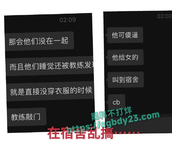 中国游泳运动员小将禹景铭12天约炮10个的瓜10