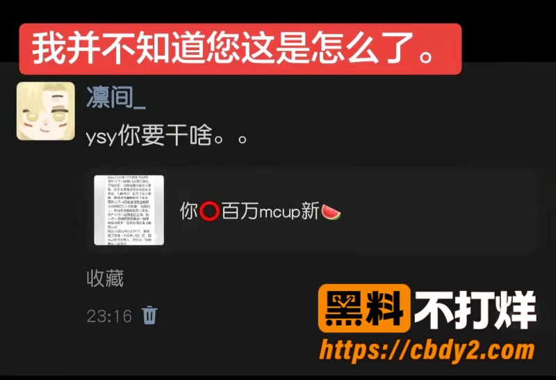 黑猫大少爷3