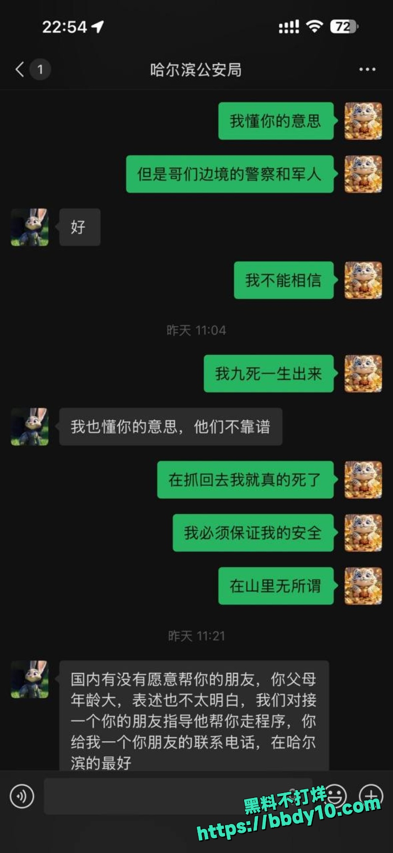 杨磊 31