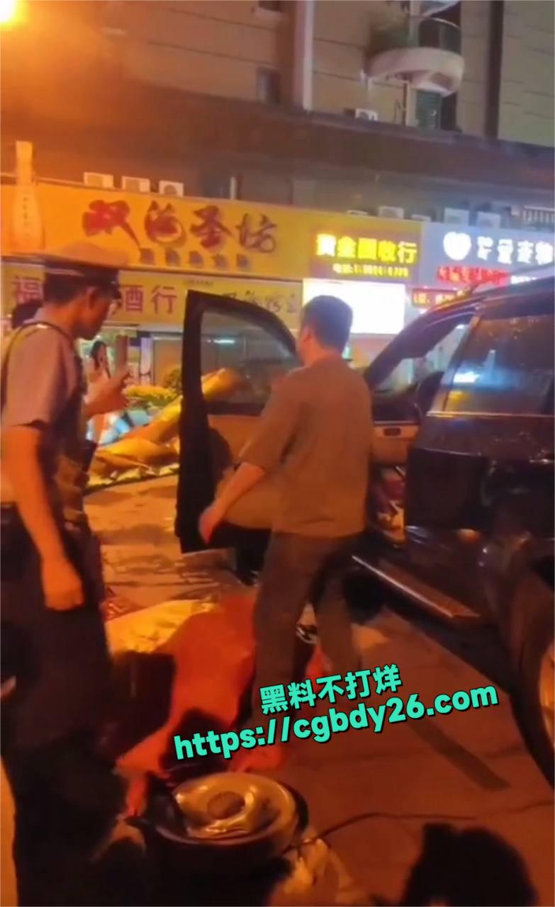 酒驾撞人9
