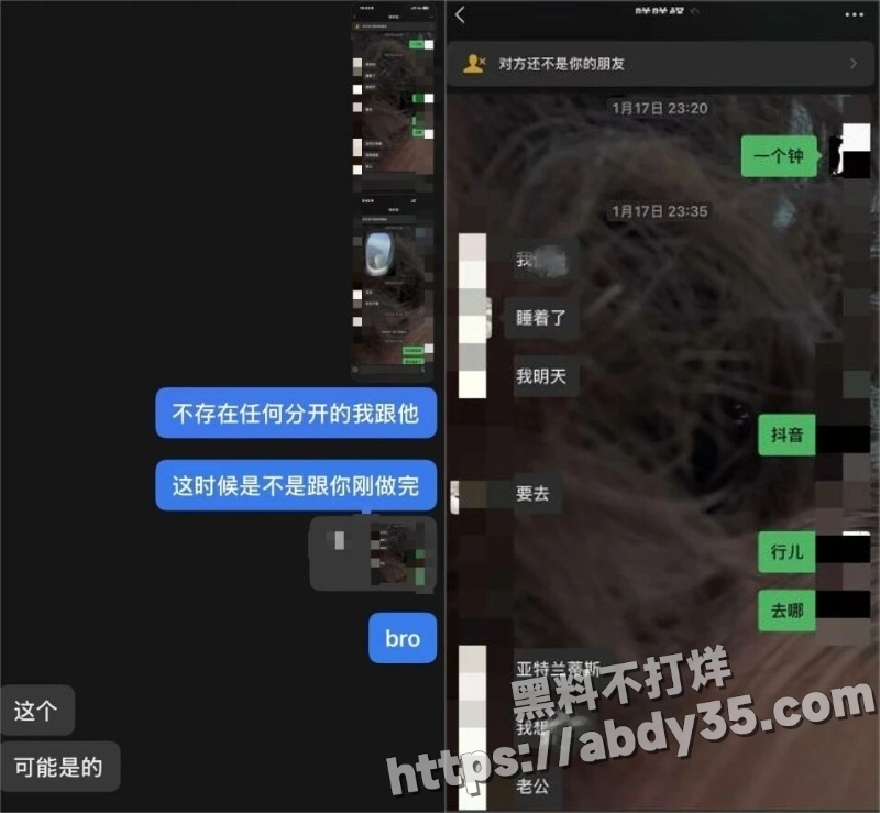 澳洲留学生陈某某脚踏两船捞金实录17