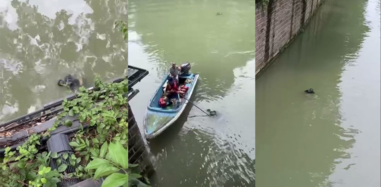 成都望平街河中惊现一具男性浮尸 专业打捞队到达开始打捞 不知是自杀还是杀人抛尸