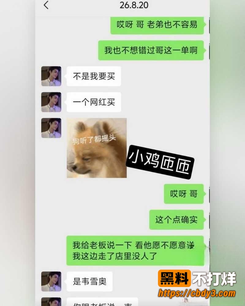 韦雪18