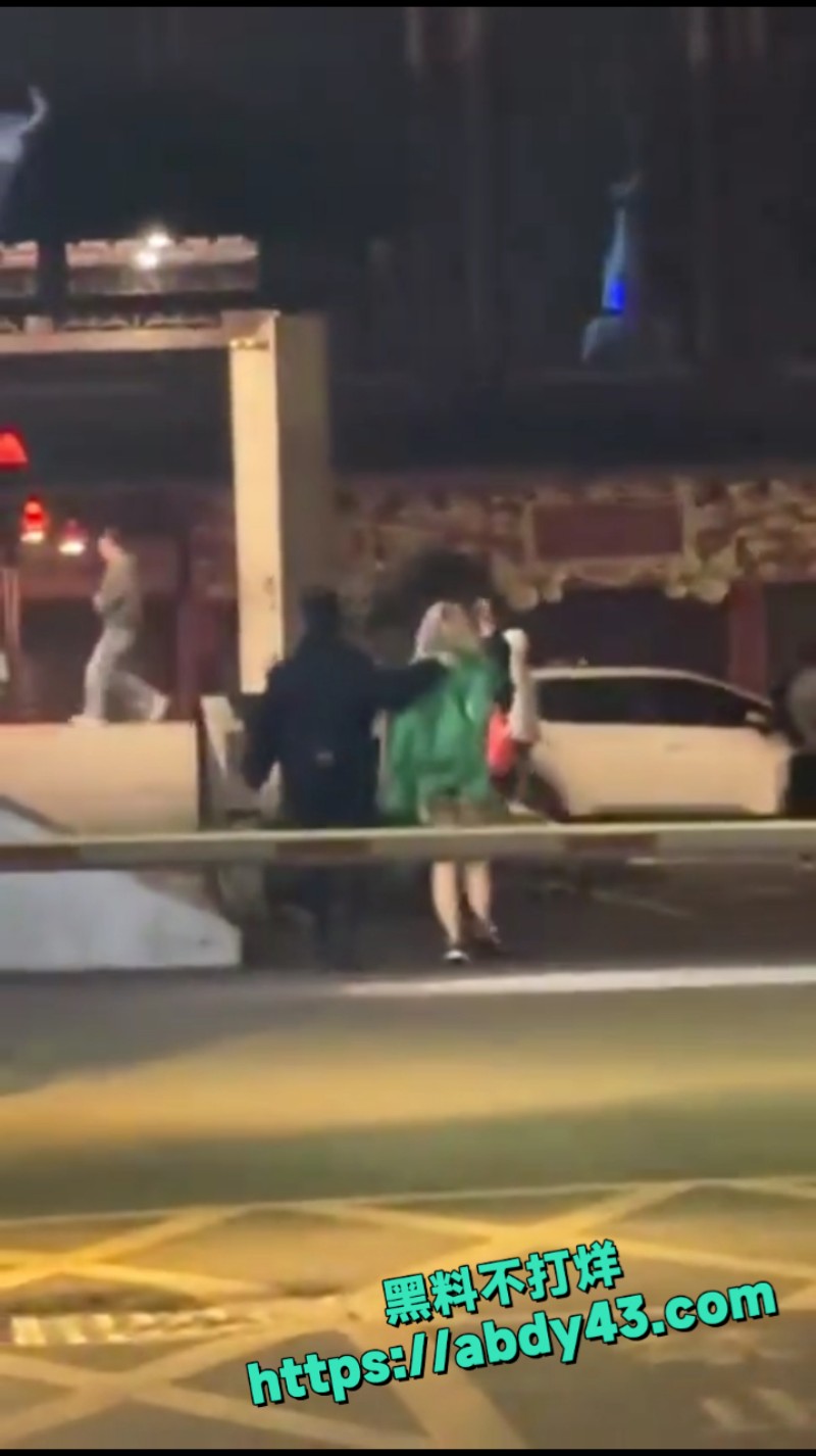 湖南长沙解放西路 黄毛妹 14