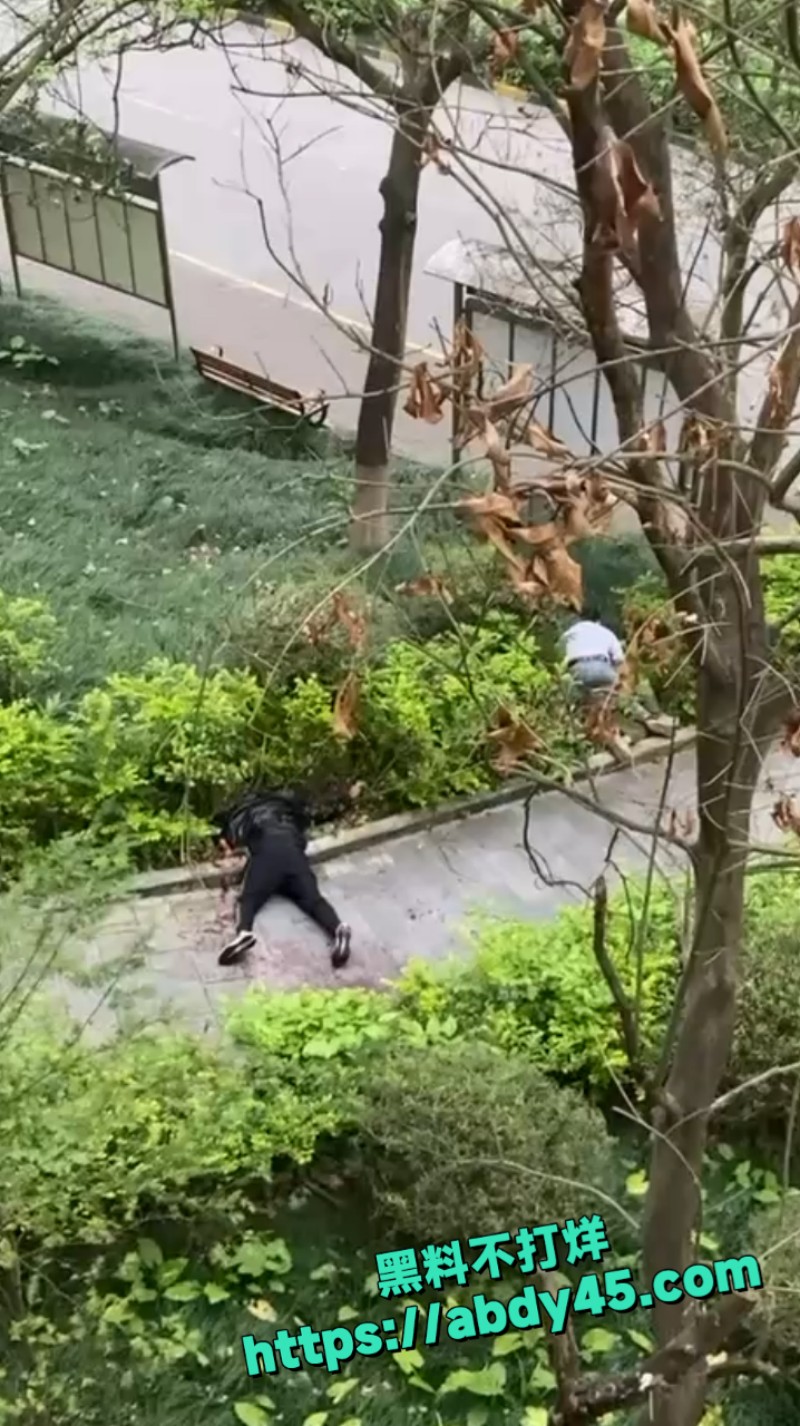 南宁一住宅小区 9