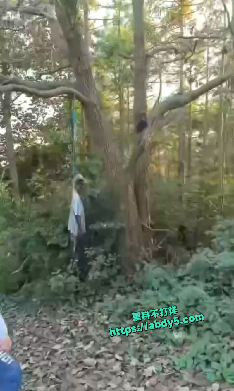 四明山上惊现干尸吊在树上 5