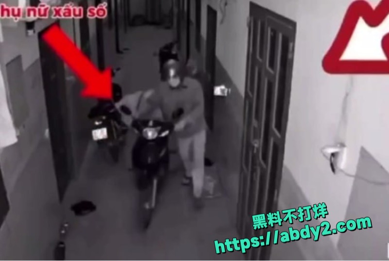 越南夫妻出轨分尸案曝光6