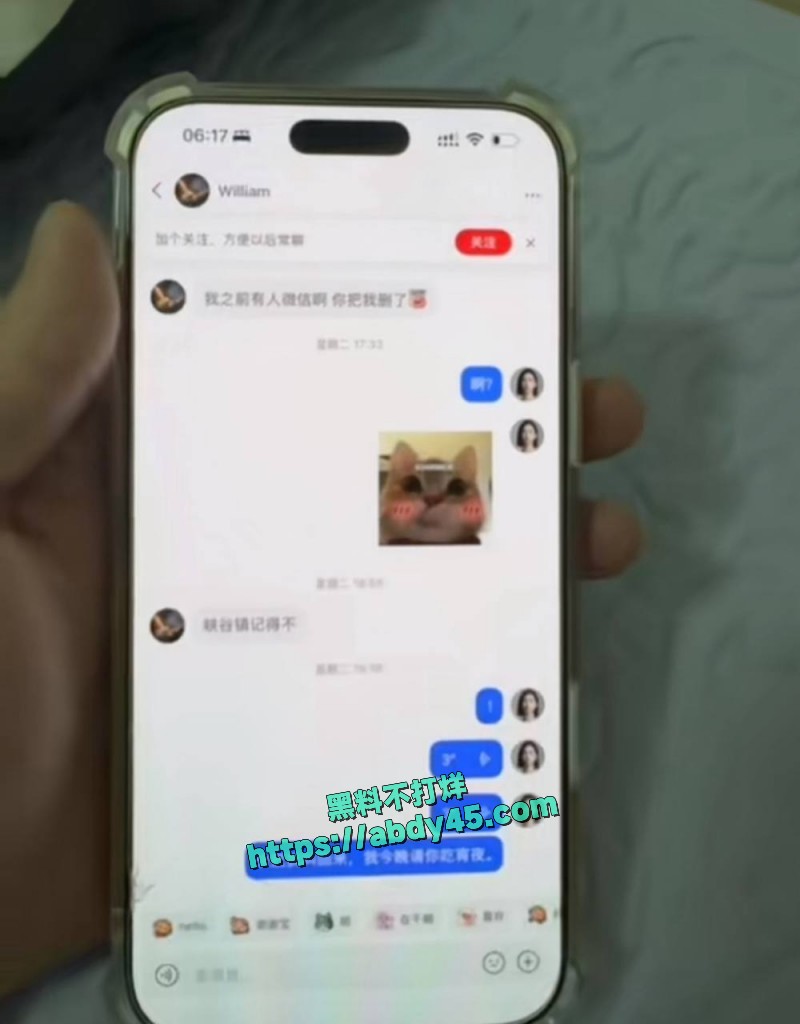 抖音网红周辰辰 17