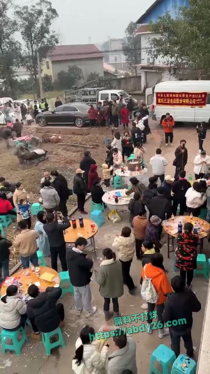 重庆合川呆呆杀猪事件燃爆网络 11