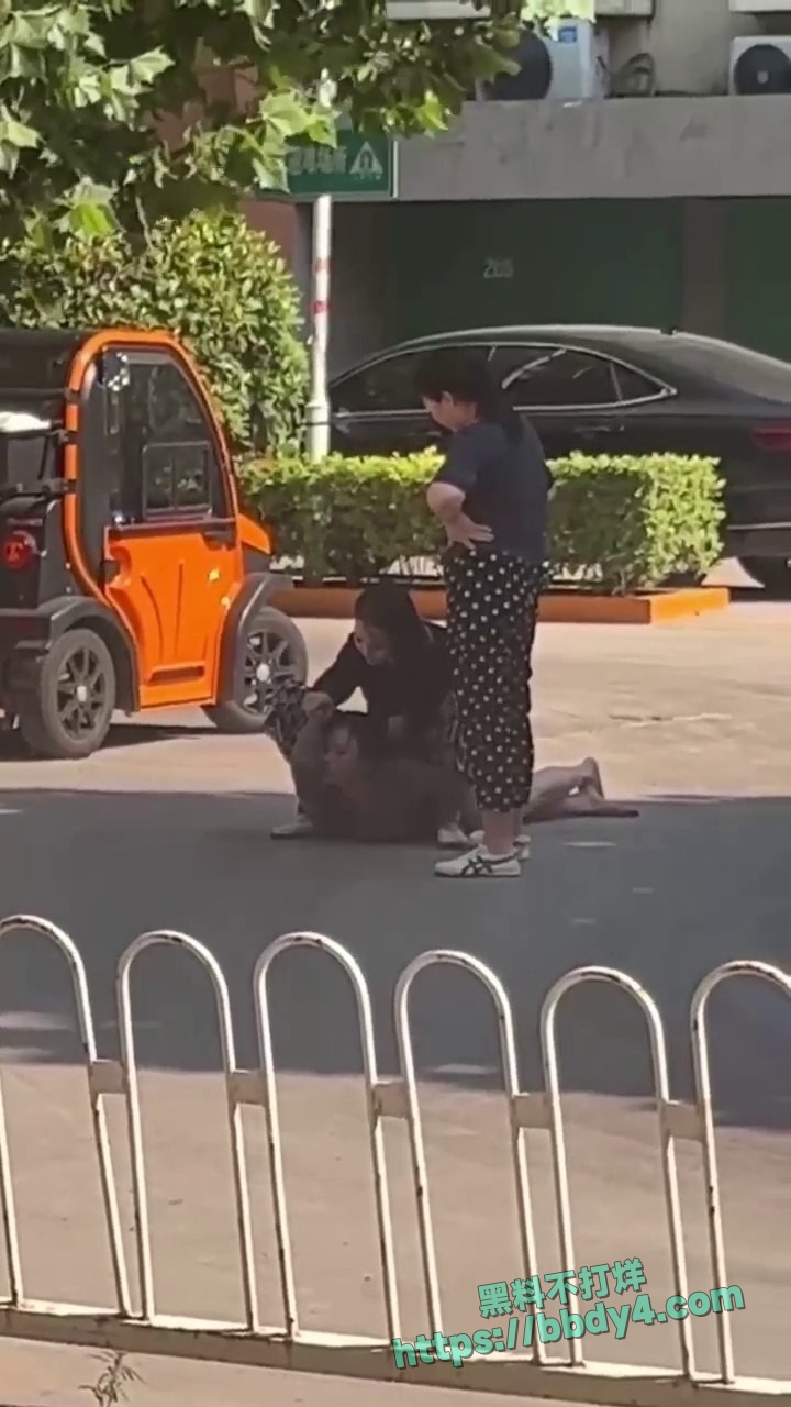 愤怒正妻当街暴打小三04