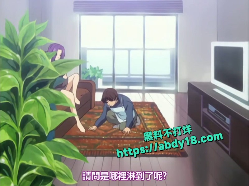 里番经典成人动画洗衣店小新 2