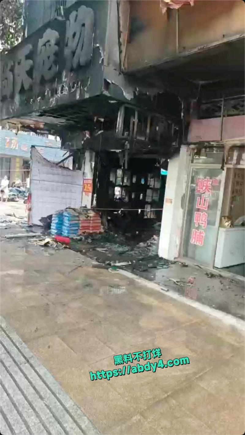 广东揭阳普宁流沙大道宠物店突发火灾 6