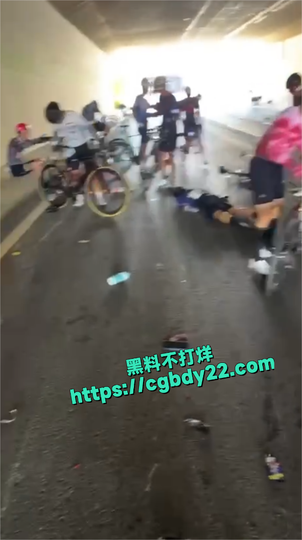 巢湖自行车3