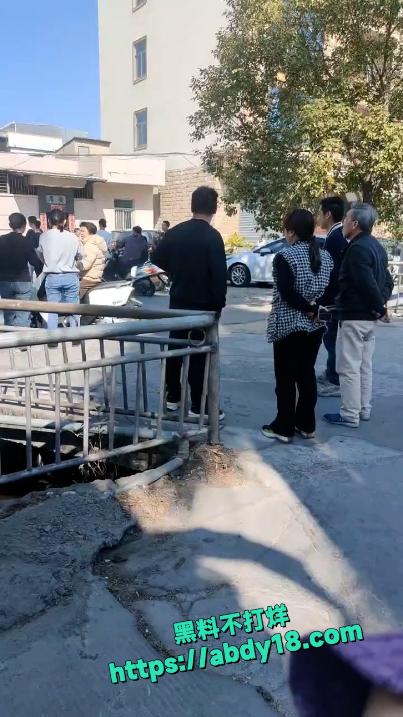 潮汕精神病砍死4人 6