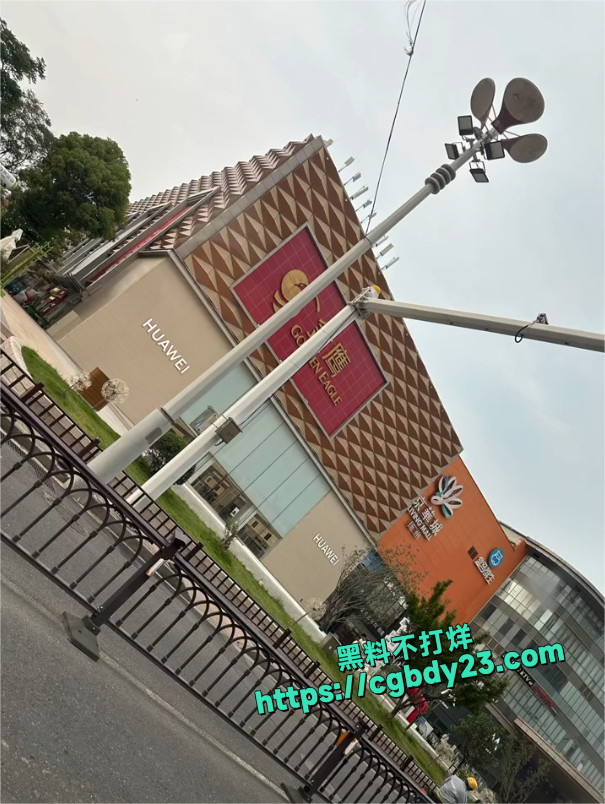 女孩京华城内跳下来5