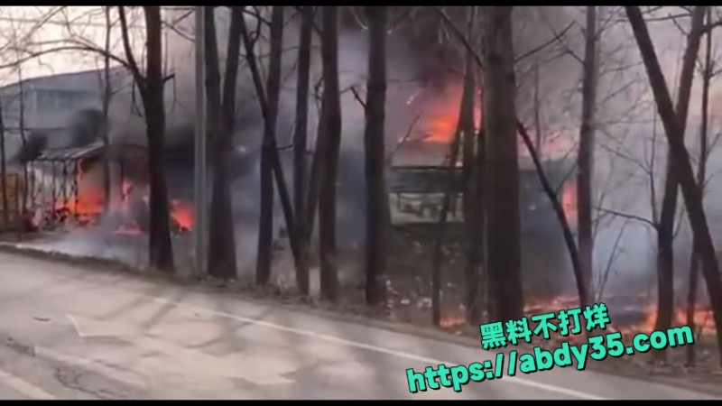 江苏烟花爆竹爆燃 11
