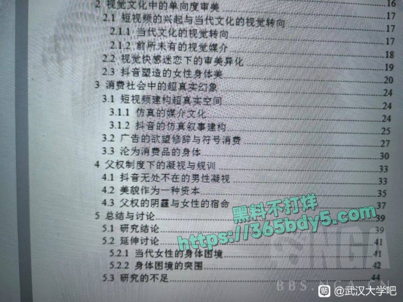 武汉大学诬女论文1