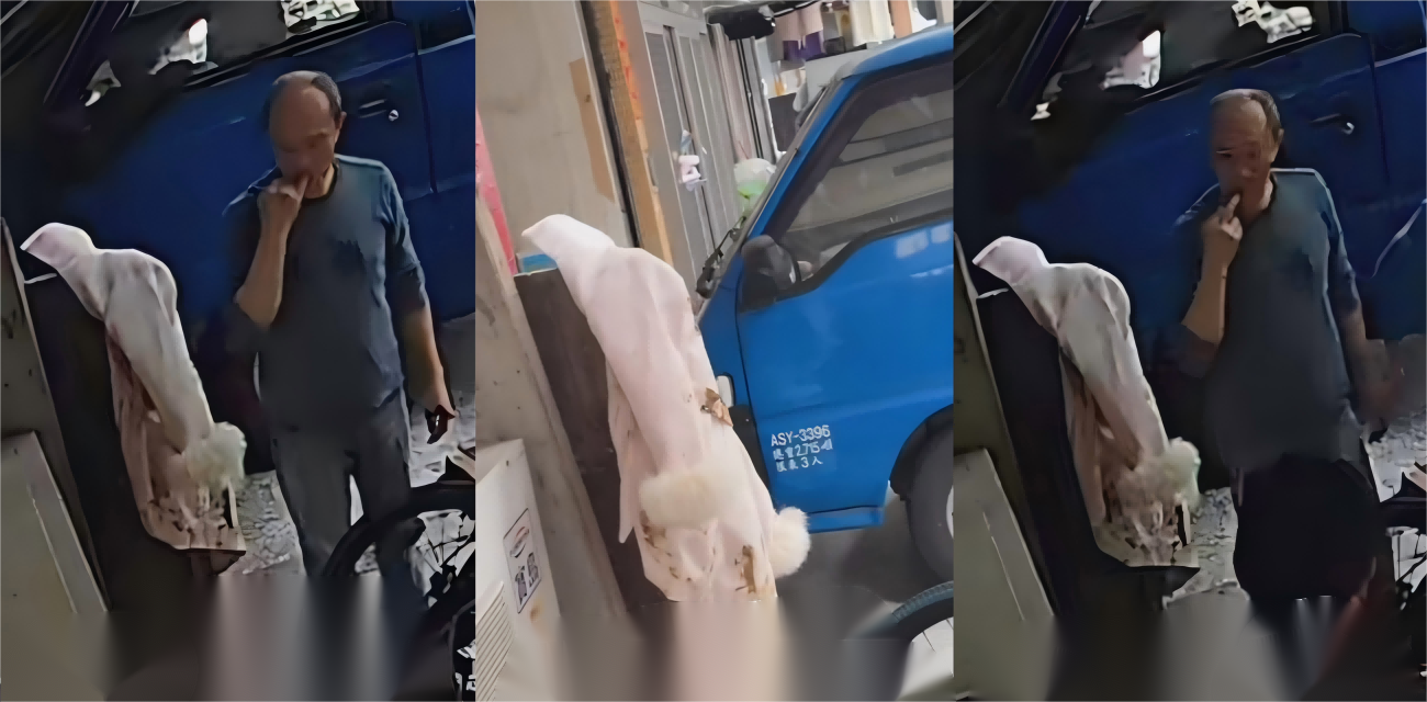台湾街头超重口 小仙女拉屎用外套擦 阿伯误当巧克力舔好几口 猎奇到炸
