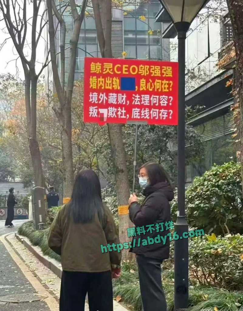 鲸灵集团CEO邬强强被妻子拉横幅曝出轨 10