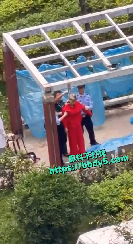 老太上吊4 2