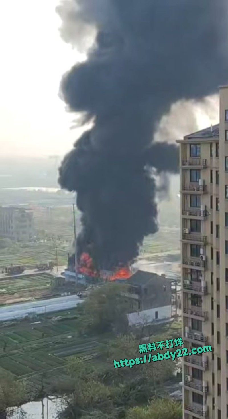 浙江台州一场地突发火情4